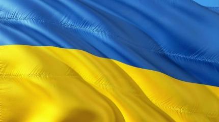 Как Украине выйти из конституционного кризиса Как Украине выйти из конституционного кризиса