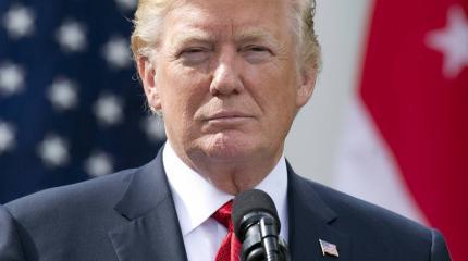 Травмированный Трамп Травмированный Трамп