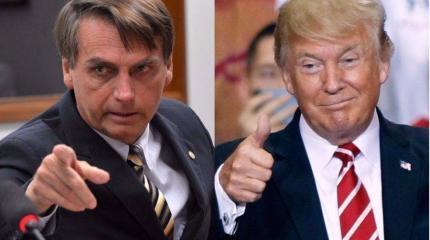 США готовы принять и Бразилию в НАТО США готовы принять и Бразилию в НАТО
