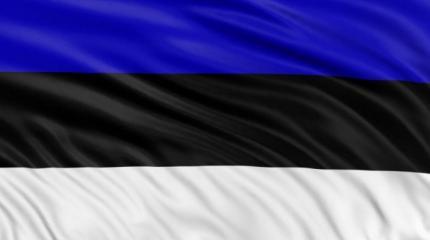 Не повезло Таллину с Россией? Или с кандидатами в президенты Эстонии? Не повезло Таллину с Россией? Или с кандидатами в президенты Эстонии?