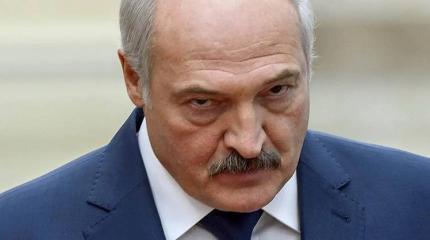 Лукашенко устроил Мединскому экзамен по истории на глазах у Путина Лукашенко устроил Мединскому экзамен по истории на глазах у Путина