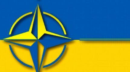The American Conservative: Украина хочет в НАТО? Это абсурд! The American Conservative: Украина хочет в НАТО? Это абсурд!