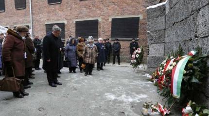 То, что известно даже школьникам, Схетынам невдомек