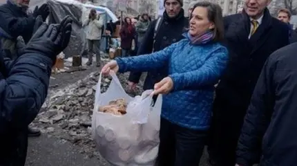 Белоруссия: Новая Нуланд уже складывает в пакет свои печеньки