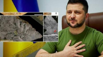 Британские ученые и зеленское животное Британские ученые и зеленское животное