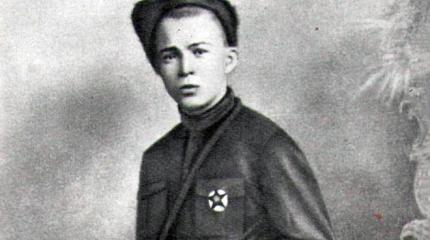 Трагедия Аркадия Гайдара Трагедия Аркадия Гайдара