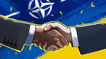 Почему члены НАТО не могут решить судьбу Украины Почему члены НАТО не могут решить судьбу Украины