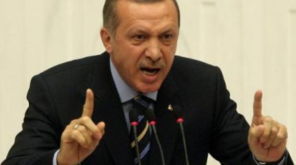 Эрдогана обвинили в совершении геноцида