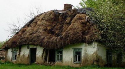 Украина, не надо валить с больной головы на здоровую… Украина, не надо валить с больной головы на здоровую…