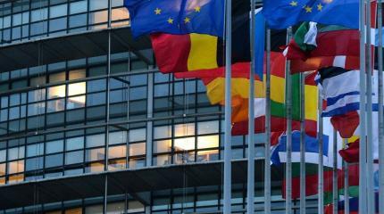 Европарламент решил вмешаться во внутренние дела России Европарламент решил вмешаться во внутренние дела России