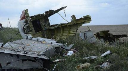 Малайзия назначила Россию виновной в крушении Боинга на Украине