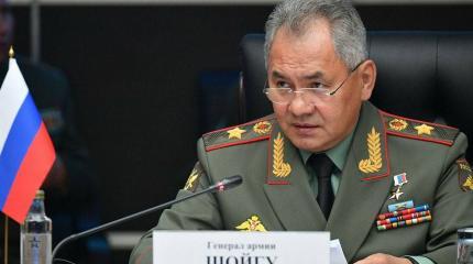 Шойгу отправил немцев к дедушкам Шойгу отправил немцев к дедушкам