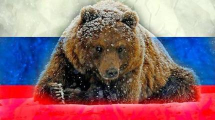 Европа и медведь
