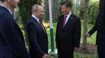 Politico: разговор Путина и Си десятилетней давности стал проблемой для Зап Politico: разговор Путина и Си десятилетней давности стал проблемой для Зап