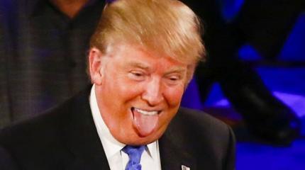 СМИ Германии: Впереди битва при Трампе. Как отбросить от него русских СМИ Германии: Впереди битва при Трампе. Как отбросить от него русских