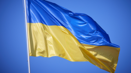 Три четверти украинцев не поддерживают политику официального Киева Три четверти украинцев не поддерживают политику официального Киева