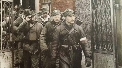 «Бурый» и его преступления. Зачем в Польше прославляют палача белорусов? «Бурый» и его преступления. Зачем в Польше прославляют палача белорусов?