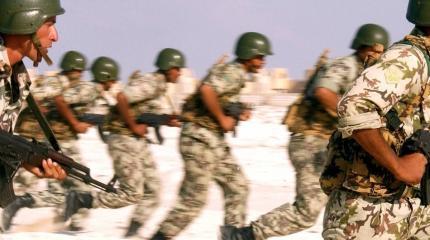 В Египте призывают к войне с Эфиопией В Египте призывают к войне с Эфиопией