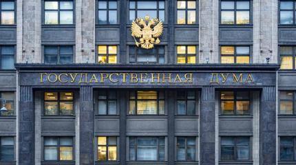 Предвыборная выхухоль в цветочном горшке Предвыборная выхухоль в цветочном горшке