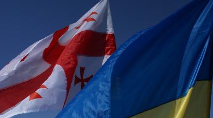 Дружба не задалась: Украина теряет поддержку Грузии Дружба не задалась: Украина теряет поддержку Грузии