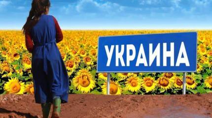 Украина: афганские беженцы и цинизм эвакуации Украина: афганские беженцы и цинизм эвакуации