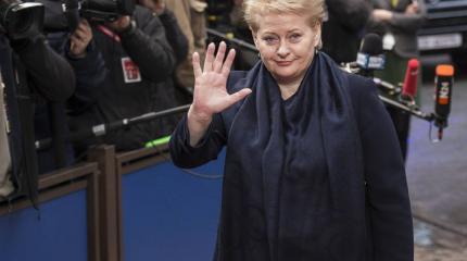 В Литве ищут связи «Росатома» с местными политиками