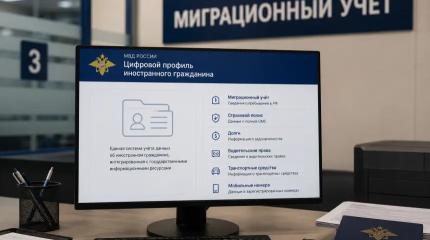 Цифровой ошейник: в РФ запустили новый сервис контроля за мигрантами
