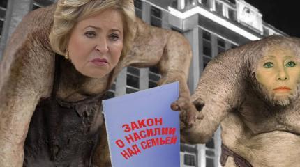 Расклад сил на 2020 год вокруг закона о семейно-бытовом насилии