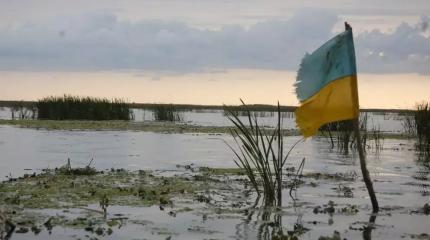 В Финляндии назвали беспрецедентным давление Украины на Германию В Финляндии назвали беспрецедентным давление Украины на Германию