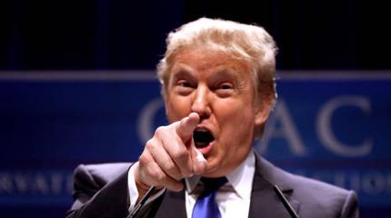 Трамп введет базу мусульман? Трамп введет базу мусульман?