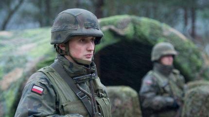Польша готова повоевать на Украине Польша готова повоевать на Украине