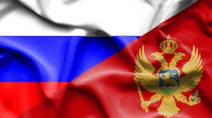В Черногории за поддержку РФ закрыли сайт «сербских новостей» В Черногории за поддержку РФ закрыли сайт «сербских новостей»