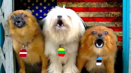 Как прибалты и скандинавы стали главным источником лжи о России