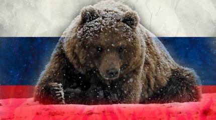Мир хочет мира с Россией Мир хочет мира с Россией