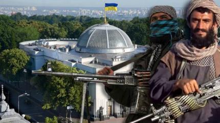 Как Украина на словах и на деле поддерживает терроризм? Как Украина на словах и на деле поддерживает терроризм?