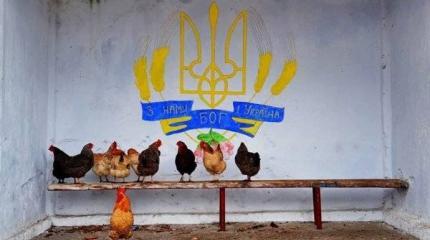 О преодолении последствий советской оккупации Украины О преодолении последствий советской оккупации Украины