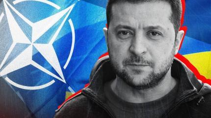 Докучная сказка: США и НАТО устали от Зеленского и Украины Докучная сказка: США и НАТО устали от Зеленского и Украины