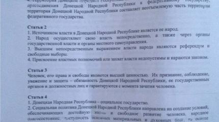 Конституционное строительство Новороссии: уроки для России
