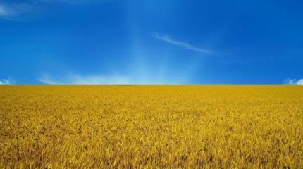 Как Украина превратилась в Нероссию Как Украина превратилась в Нероссию