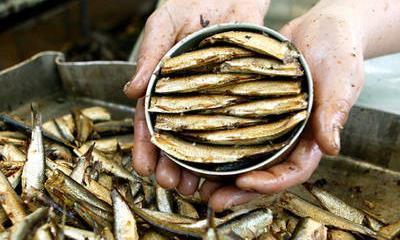 Рыбная промышленность Латвии готовится к худшему из-за эмбарго России