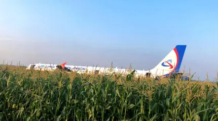 «Чудо на Гудзоне» 2.0: российские пилоты повторили подвиг американцев «Чудо на Гудзоне» 2.0: российские пилоты повторили подвиг американцев