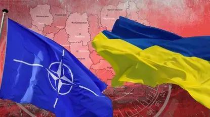 Что стоит за разговорами о готовности Украины «отречься» от НАТО Что стоит за разговорами о готовности Украины «отречься» от НАТО