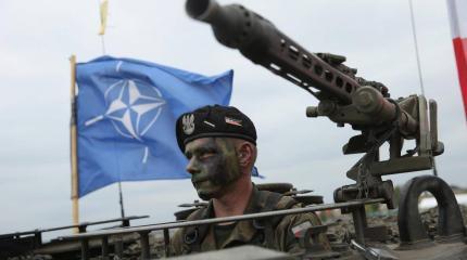 Опять коррупция мешает: Украину и Грузию в НАТО не ждут Опять коррупция мешает: Украину и Грузию в НАТО не ждут