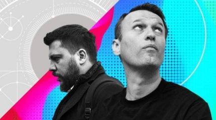 Бухгалтерия доната: куда уходят пожертвования Навальному Бухгалтерия доната: куда уходят пожертвования Навальному