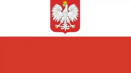 Гибридная политика Гибридная политика