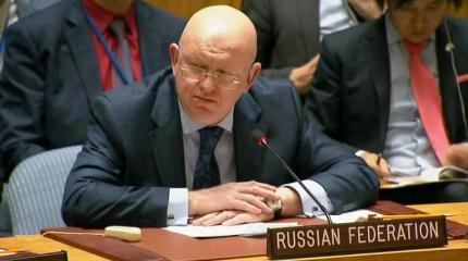 Россия наложила вето на резолюцию США по Сирии