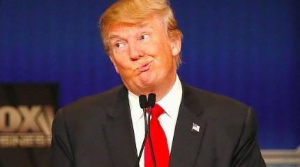 Трампу придется считаться с крупной грузинской армией и транзитной Украиной Трампу придется считаться с крупной грузинской армией и транзитной Украиной