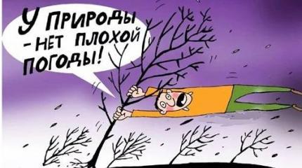 Человека судят за правдивый прогноз погоды – это маразм или политика? Человека судят за правдивый прогноз погоды – это маразм или политика?