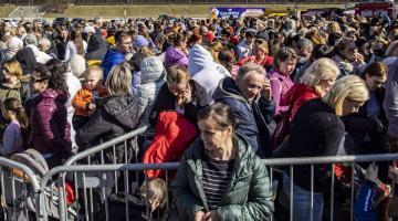 «Терпение лопнуло»: европейцы возмутились хамству украинских беженцев