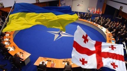 При Байдене Грузию могут принять в НАТО При Байдене Грузию могут принять в НАТО